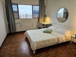 Lakeview Estate (D20), Apartment #512257351